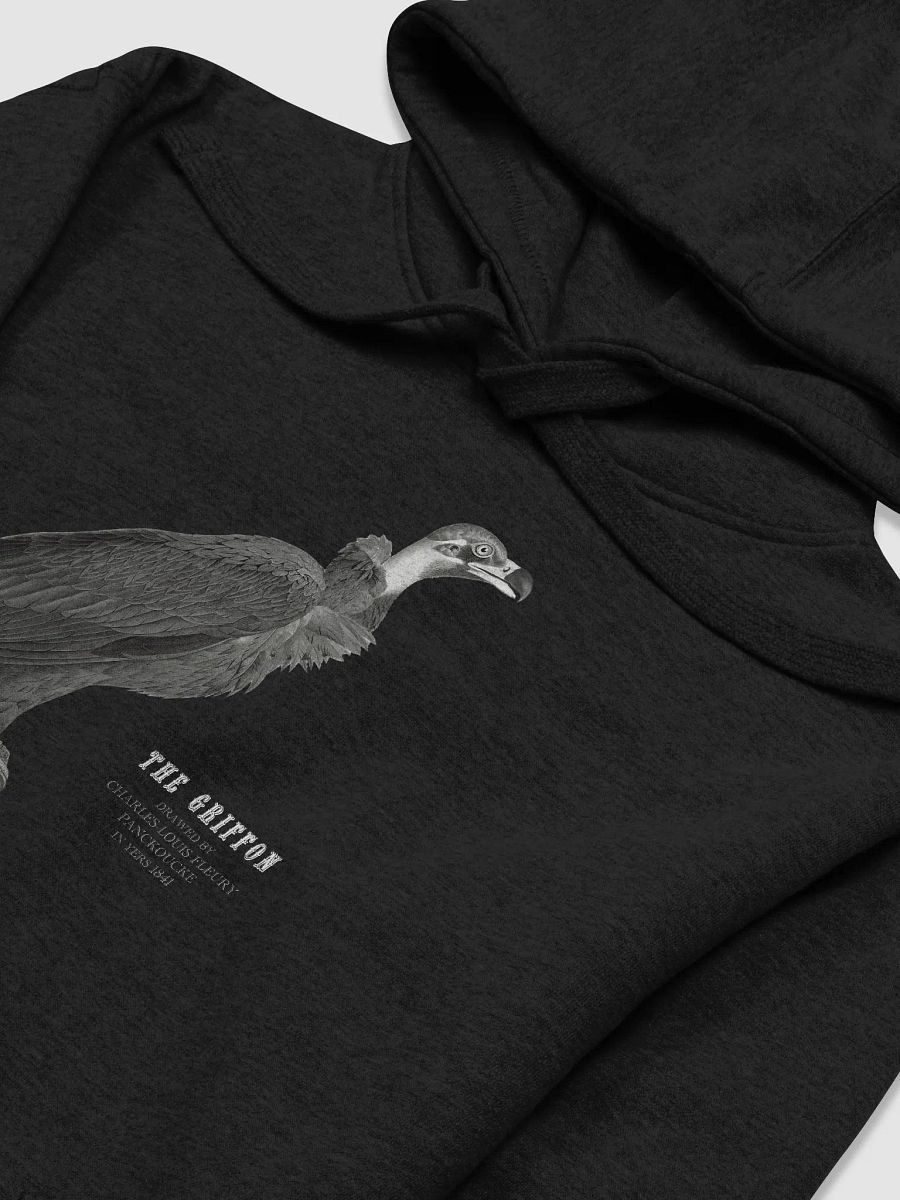 Vintage Griffon illustrated Unisex Hoodie product image (17)