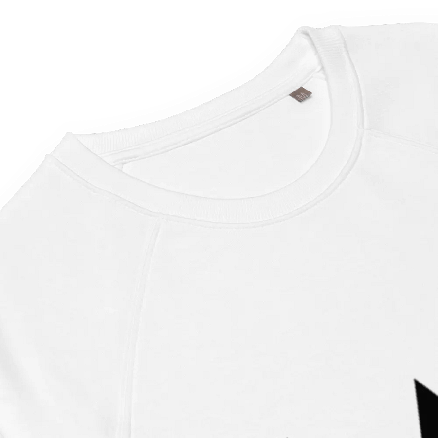 Harvest V Raglan Sweatshirt5 product image (8)