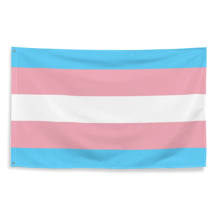 Transgender Flag product image (2)