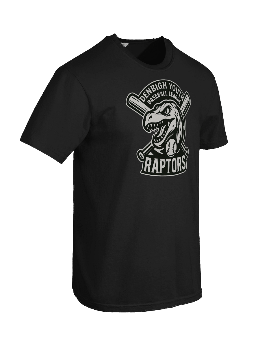 Raptors - Heavyweight T-shirt product image (65)