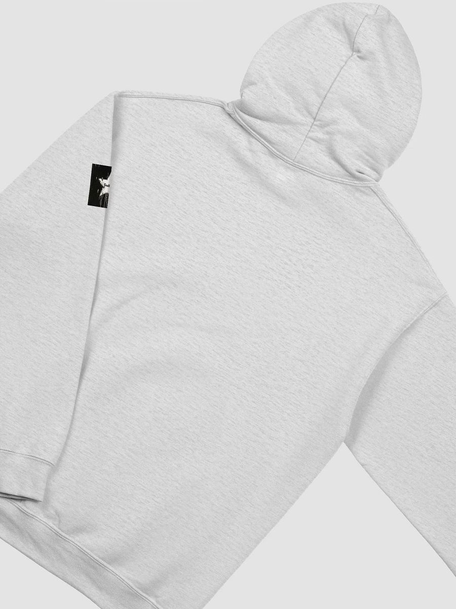 Gallus Hoodies product image (25)