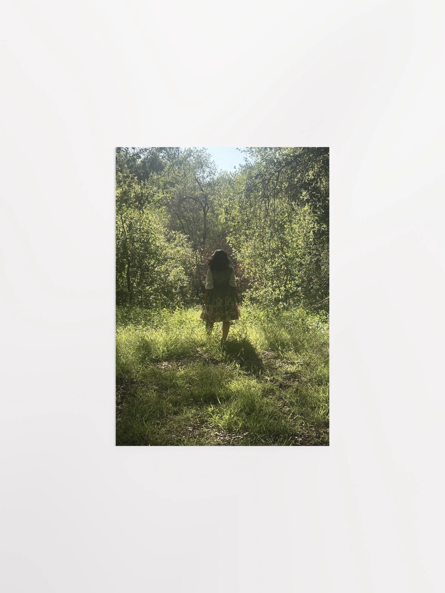 Forest Poster product image (2)