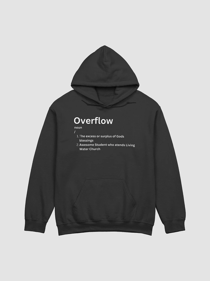 Student Definition Hoodie product image (2)
