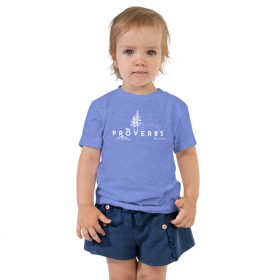 Proverbs Toddler Shirt product image (6)