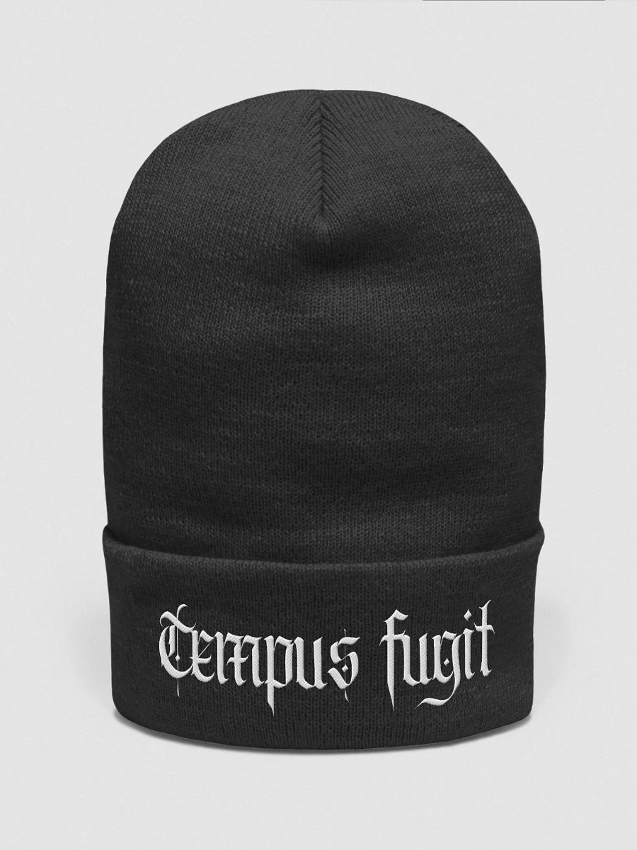 Time Flies Cuff Beanie product image (1)