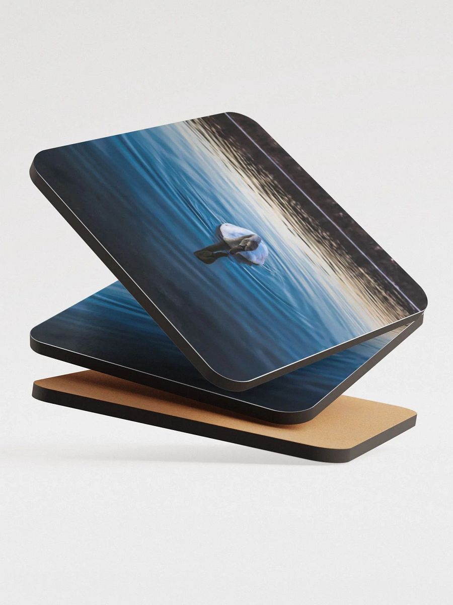 Swan in the lake product image (4)