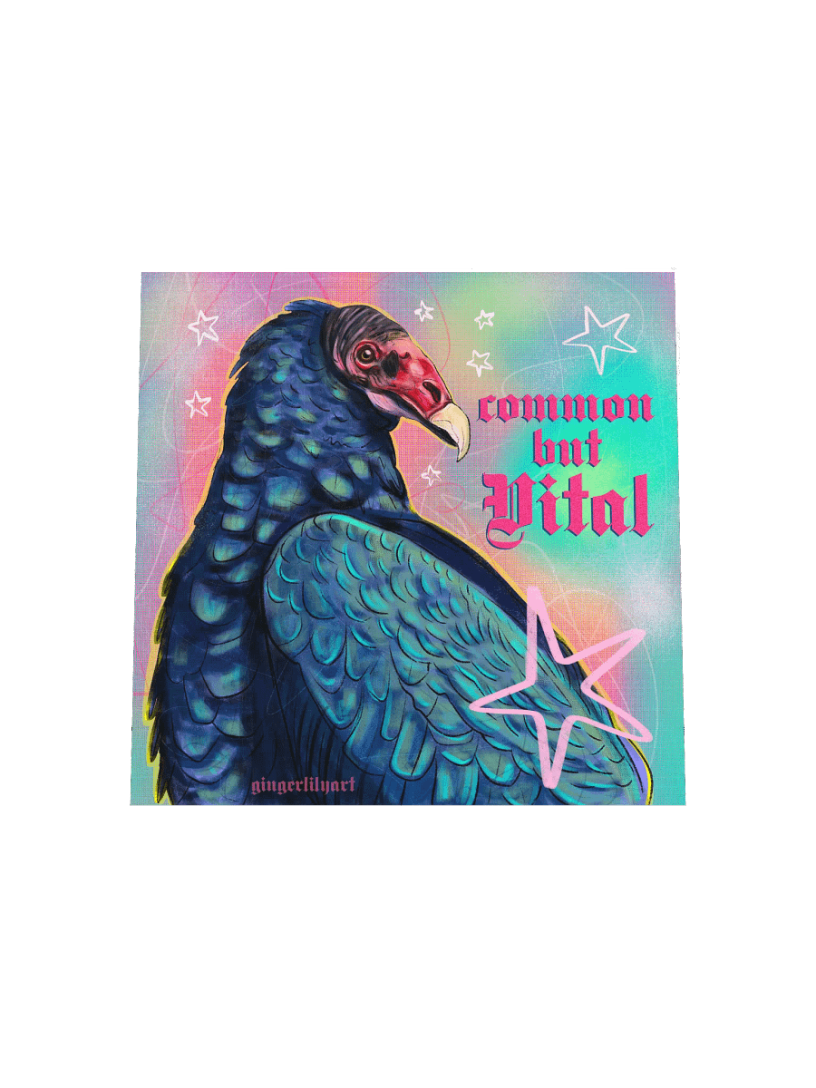 turkey vulture print product image (7)