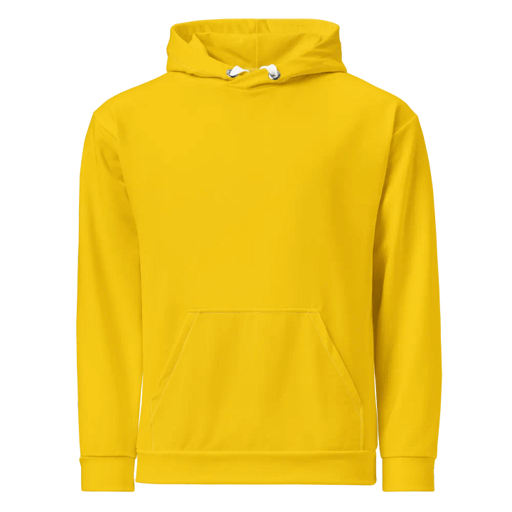 The Julien From Florida Hoodie product image (1)
