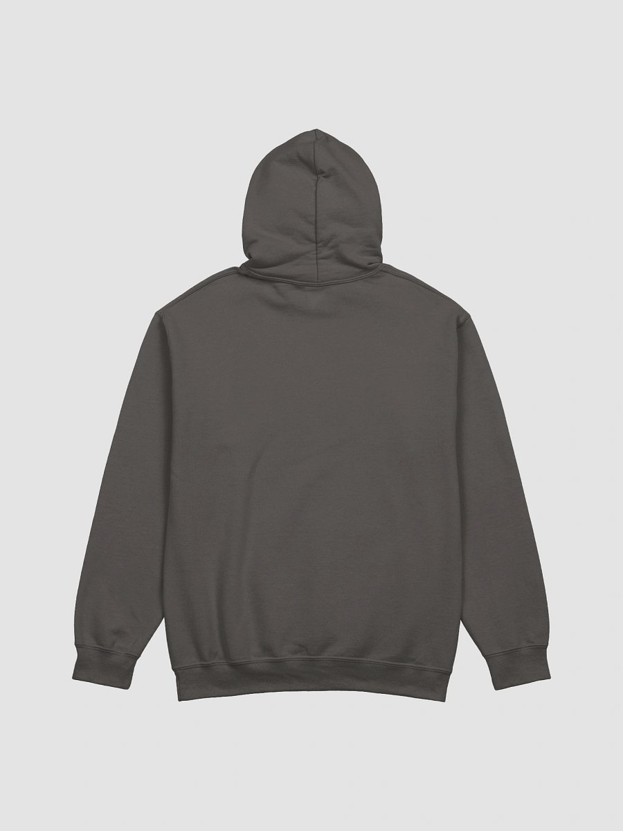 Healthy Wealthy Vegetarian & Vegan Hoodie product image (2)
