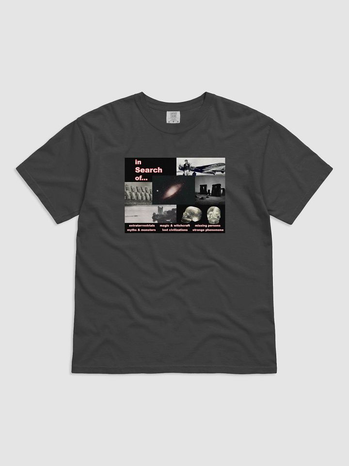 In Search Of... T-Shirt product image (3)