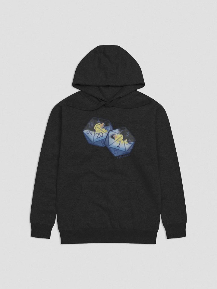 Duck20 Hoodie product image (7)