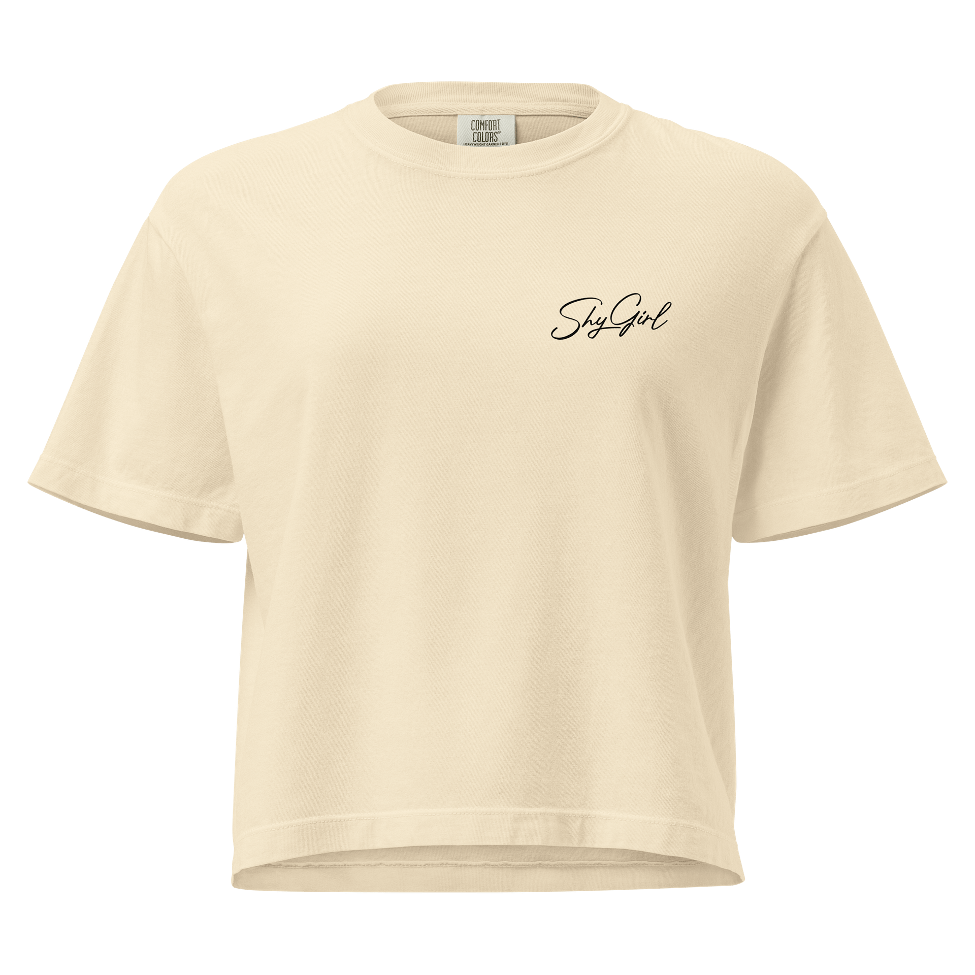Just A Logo - Heavyweight Boxy T-Shirt product image (2)