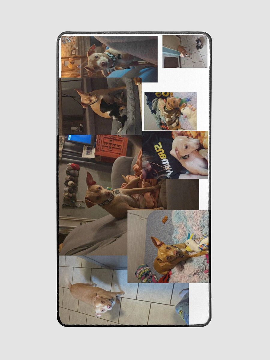 Yoda the Dog product image (2)