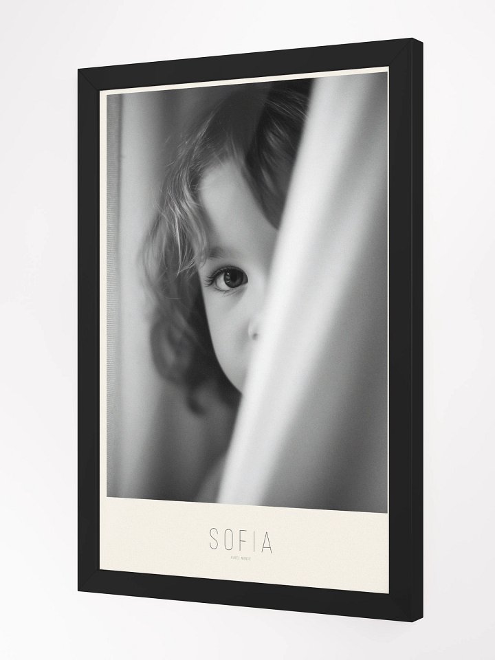 SOFIA product image (4)