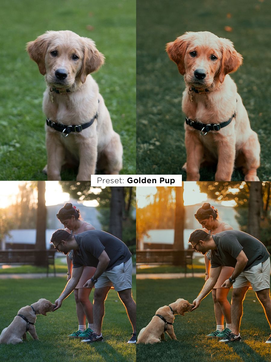 Pawtrait Presets product image (8)