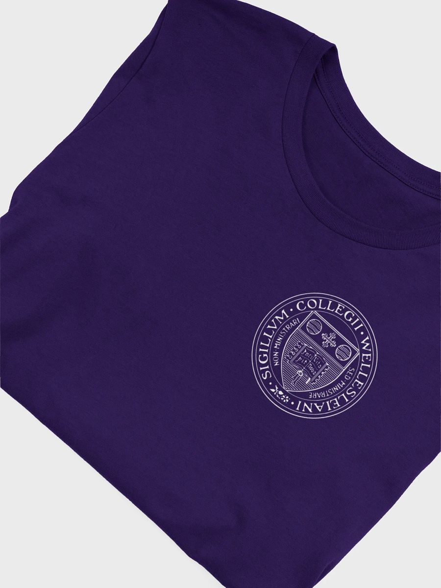 Reunion Tee with Small Wellesley College Seal product image (40)