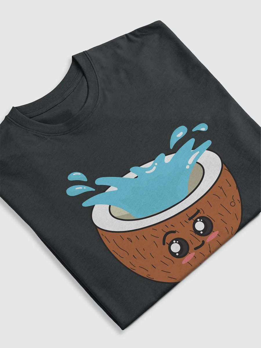 Coconuts Have Water In Them (Heavyweight Mens Tee) product image (9)