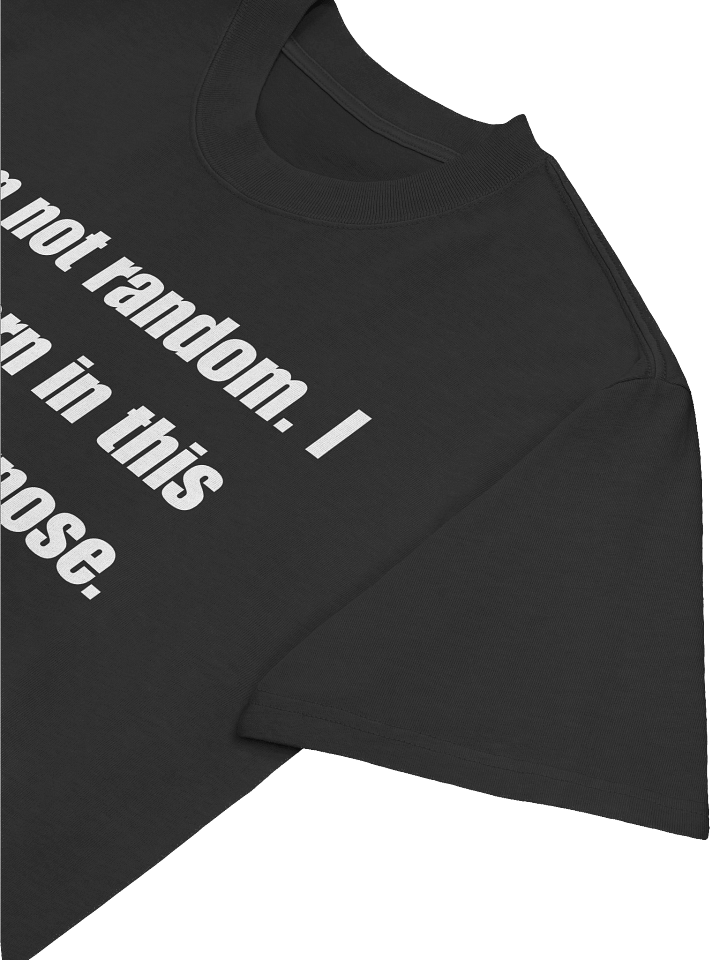 Reformation Generation AS Colour Premium Oversized Faded T-Shirt product image (2)