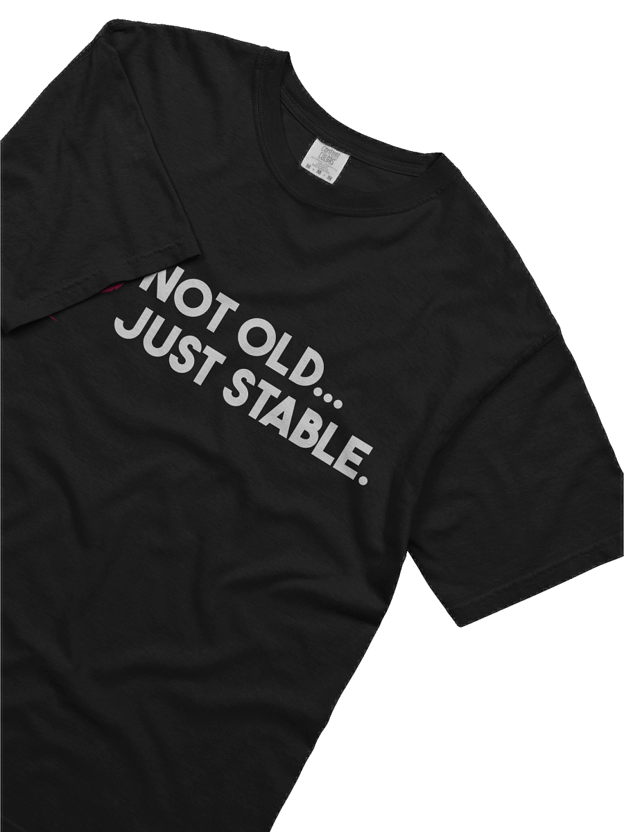 Debian Stable T-Shirt product image (34)