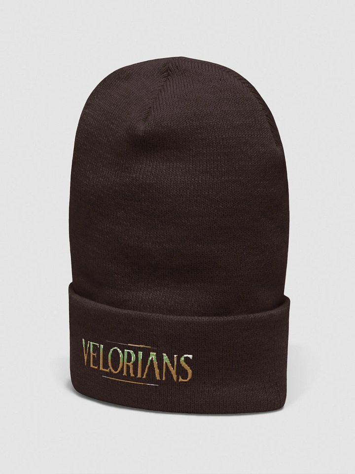 Velorians Beret product image (2)