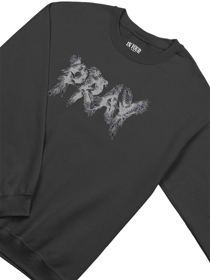 Birds Of Pray Sweatshirt product image (2)