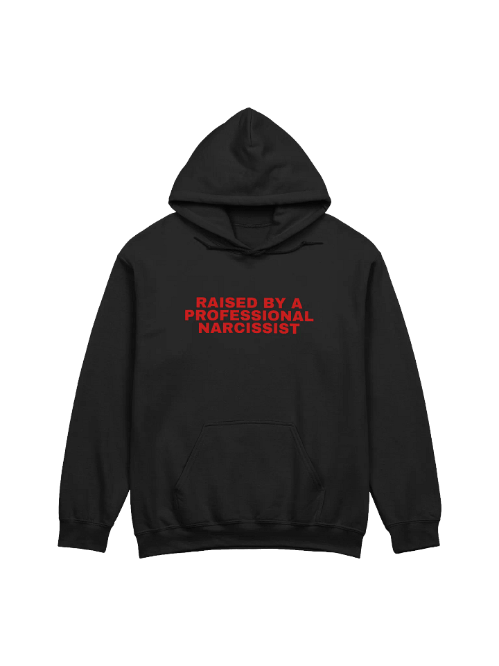 Raised By A Professional Narcissist Hoodie product image (1)