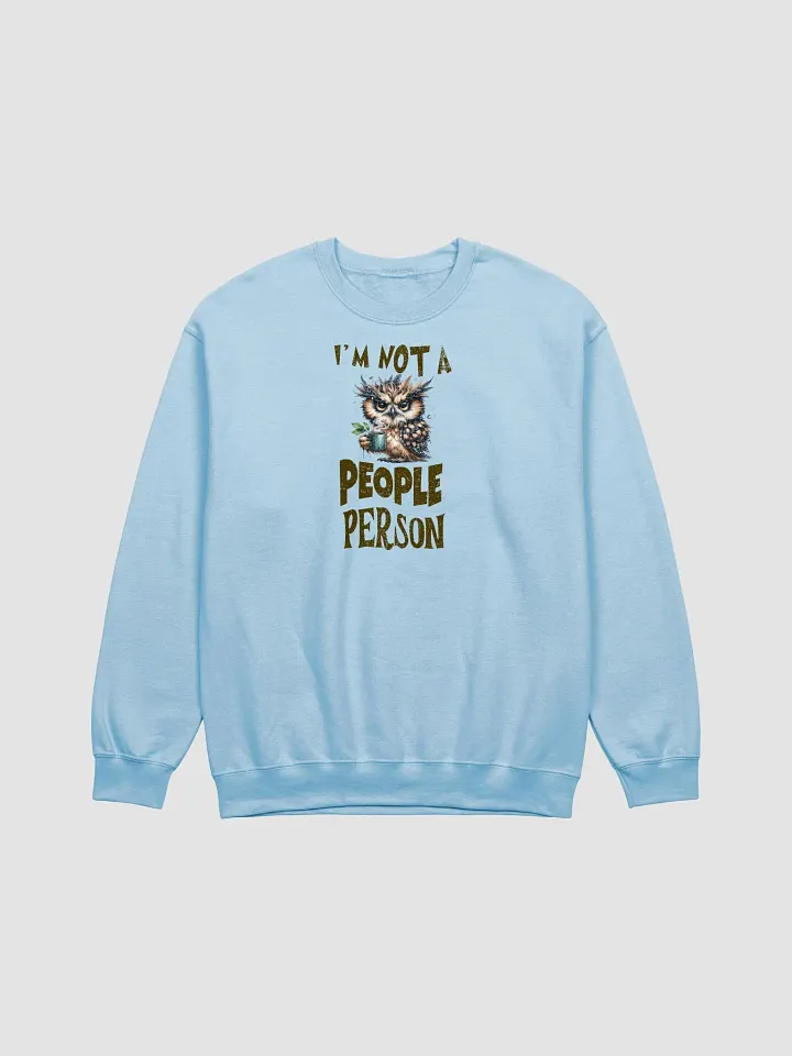 Whimsical Owl Not a People Person Sweatshirt product image (3)