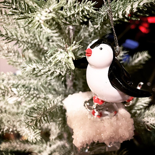 Merry Christmas penguins!!! Hope you all are spending time with your family and friends!! 

#merrychristmas #happyholidays