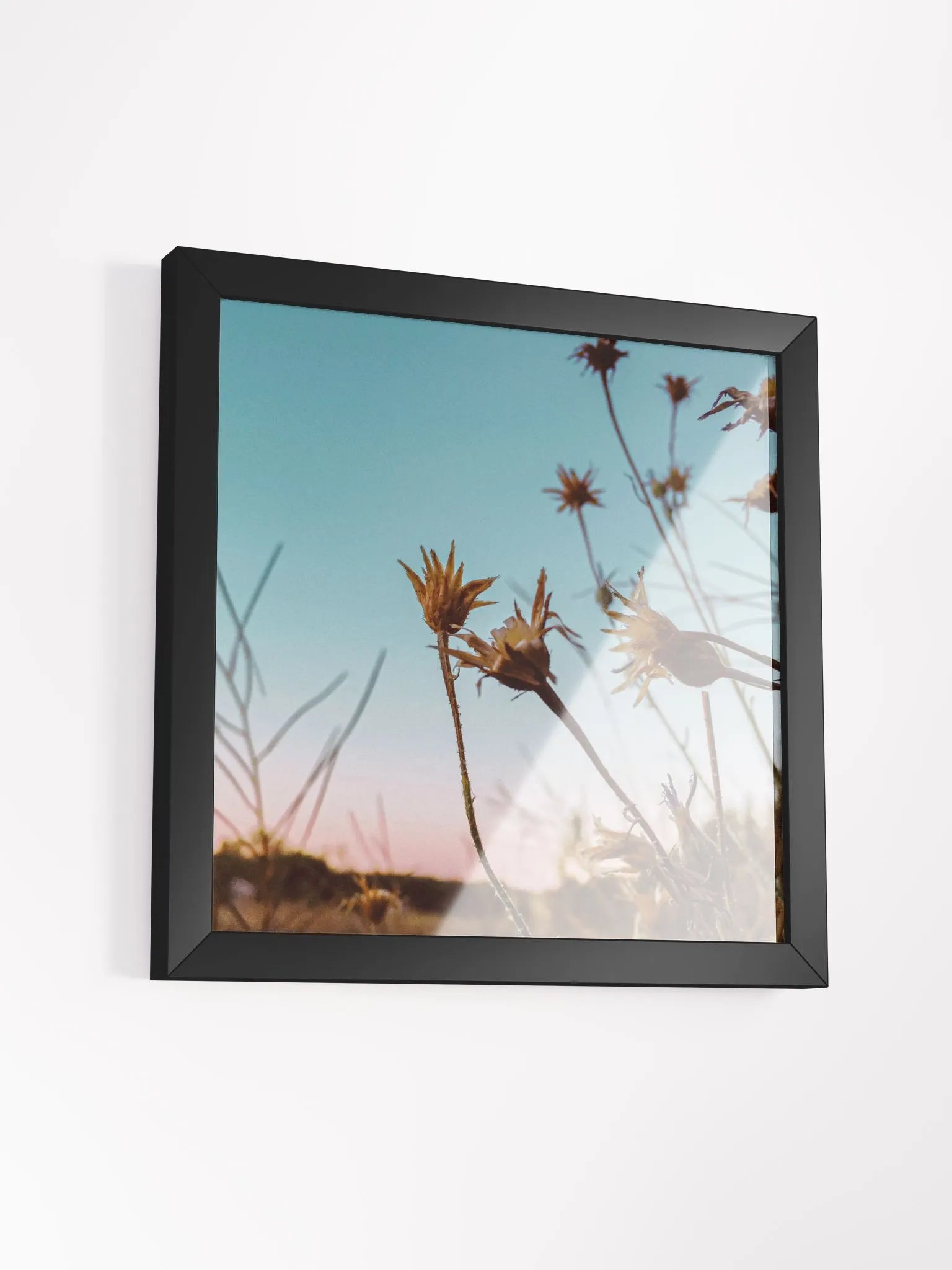 Wildflowers at Sunrise product image (3)