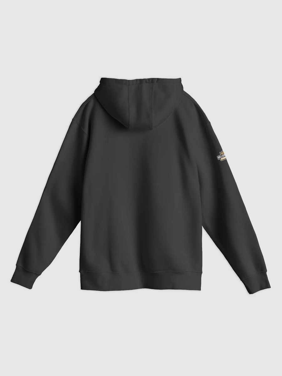 IJGTD Premium Hoodie product image (3)