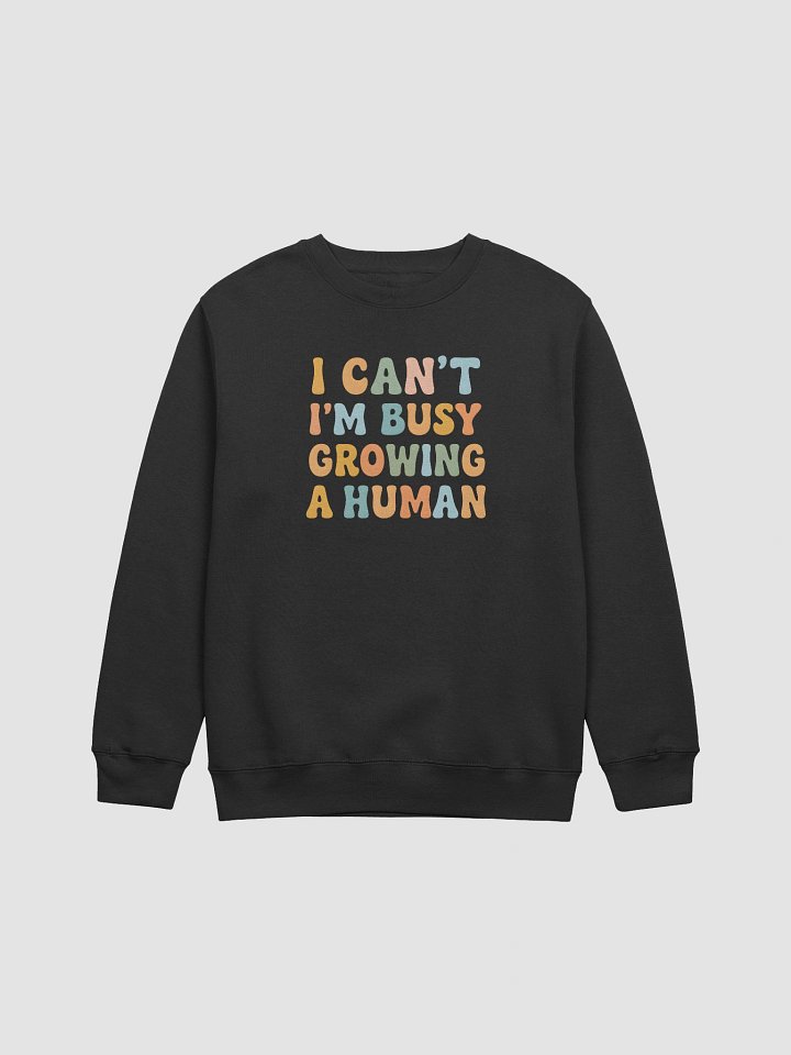 Maternity Sweatshirt – “I Can’t I’m Busy Growing a Human” Funny Pregnancy Quote Design product image (1)