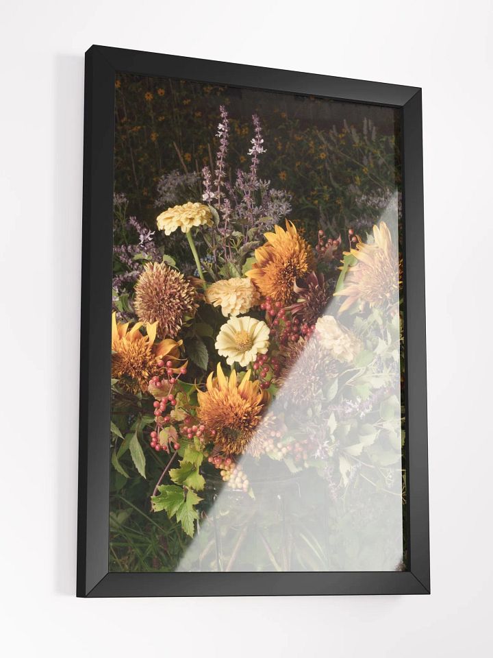 Autumn Comets product image (2)
