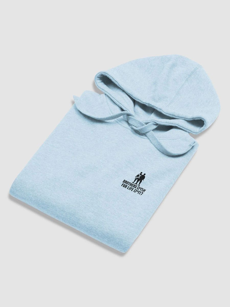 Unisex BFL hoodie product image (18)