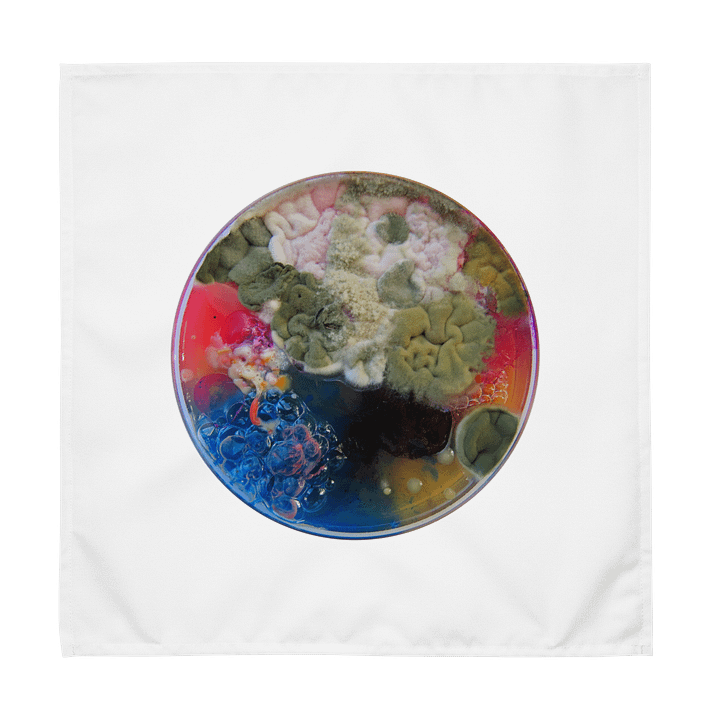 Group of 4 product image (2)