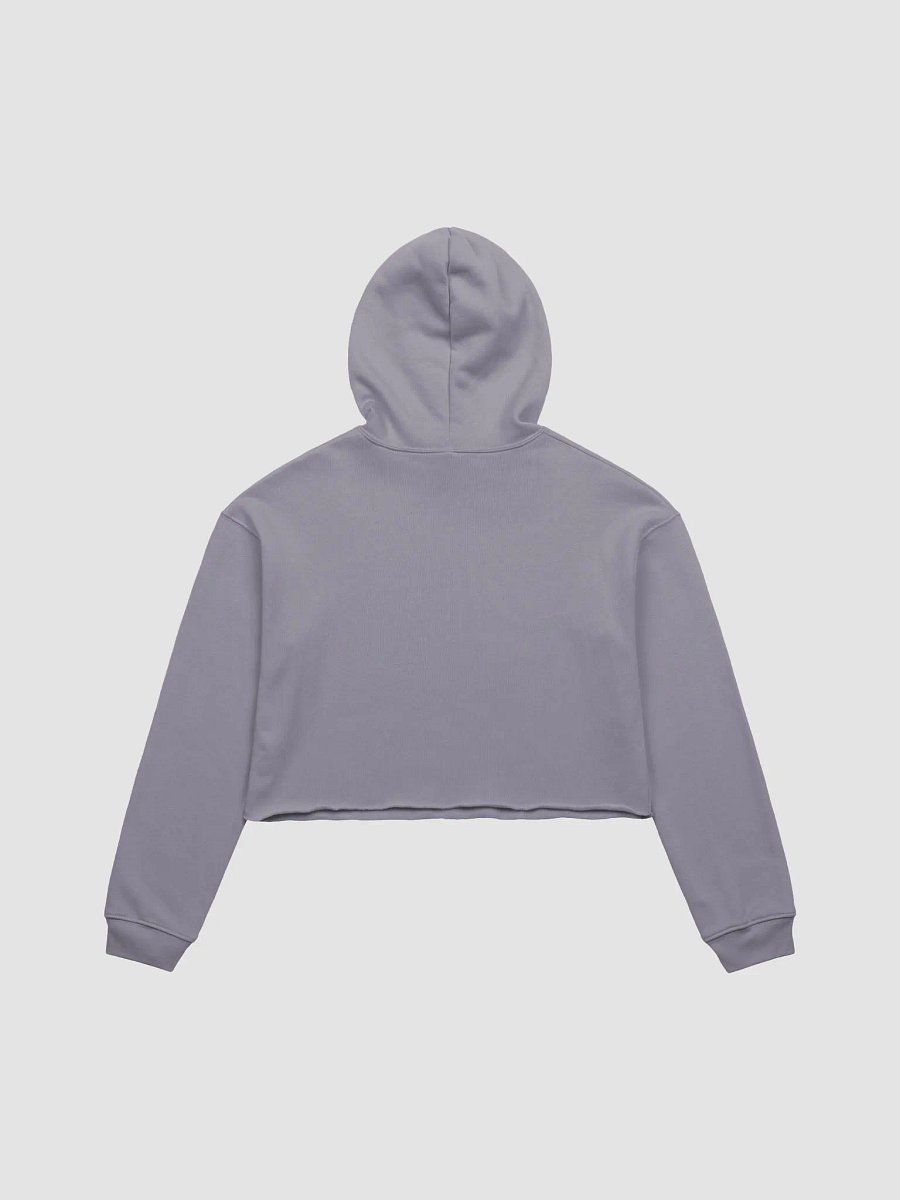 CRZYT CROP HOODIE product image (3)