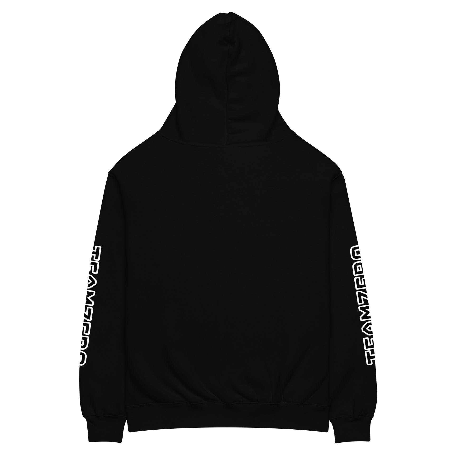 TeamZero NEW Logo Hoodie product image (10)