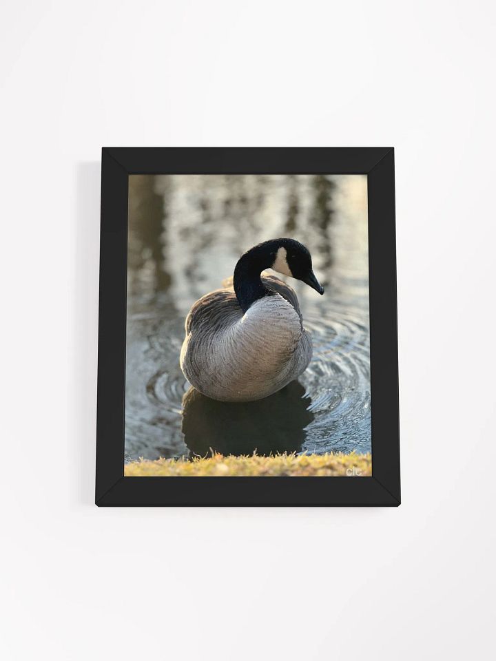 Bruce the Goose print product image (10)