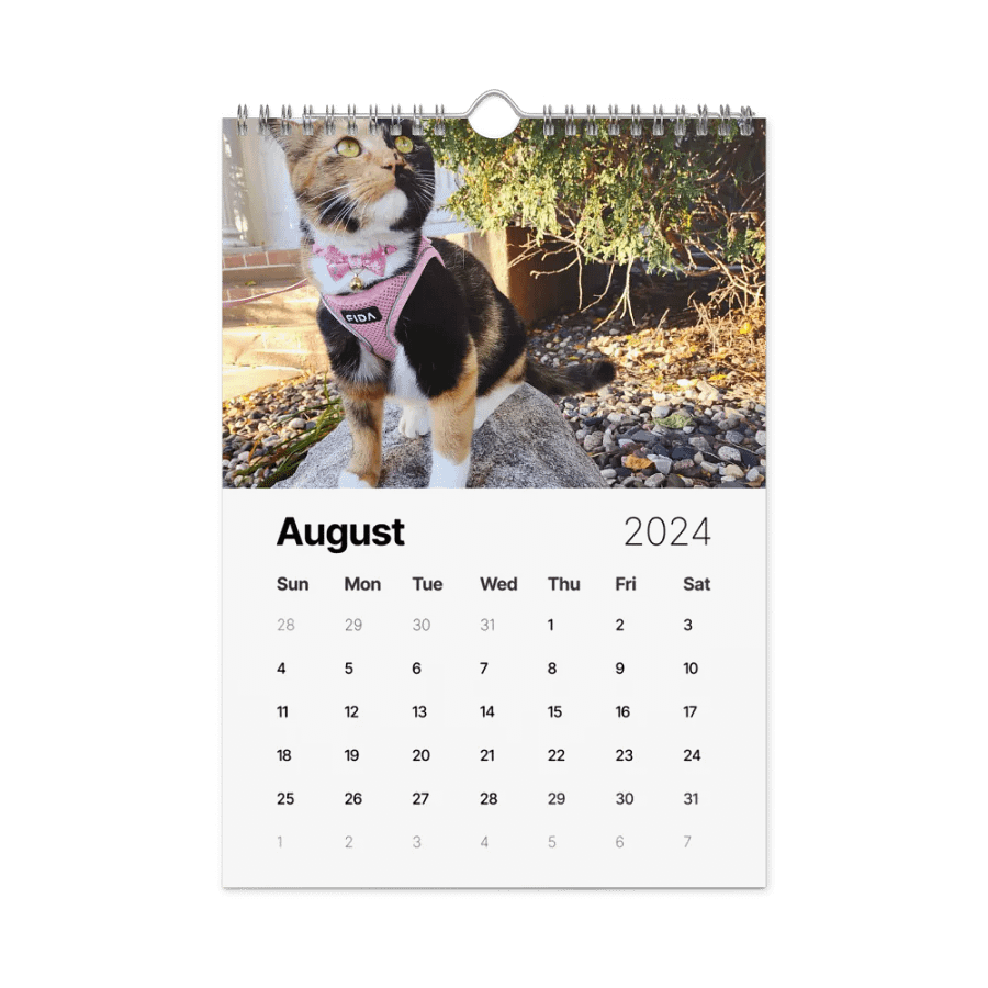 2024 Lyra Calendar product image (5)
