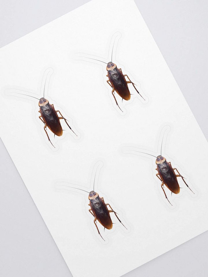 Roach Sticker Set product image (2)