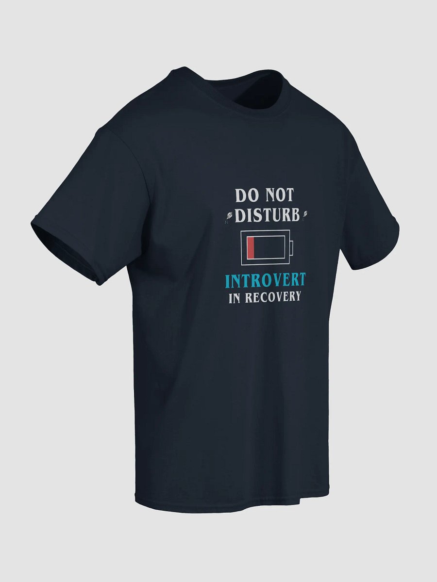 Do Not Disturb: Introvert in Recovery Shirt product image (5)