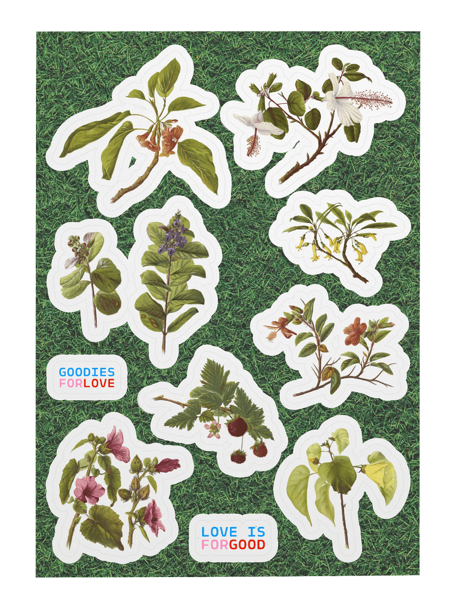 9 stickers de fleurs hawaïennes • planche A5 product image (1)