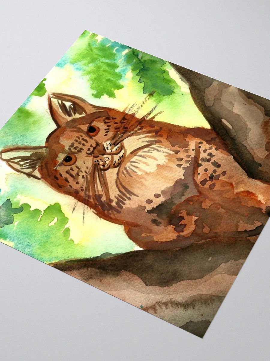 Lynx In A Tree product image (8)