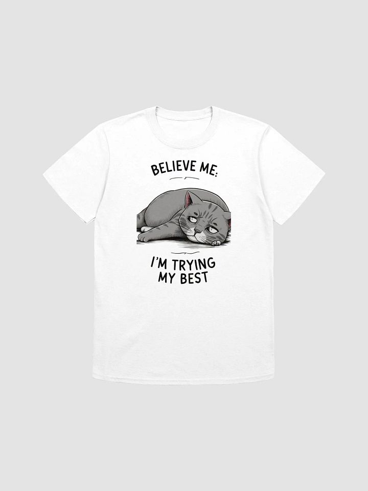 Believe Me, I Am Trying My Best product image (1)