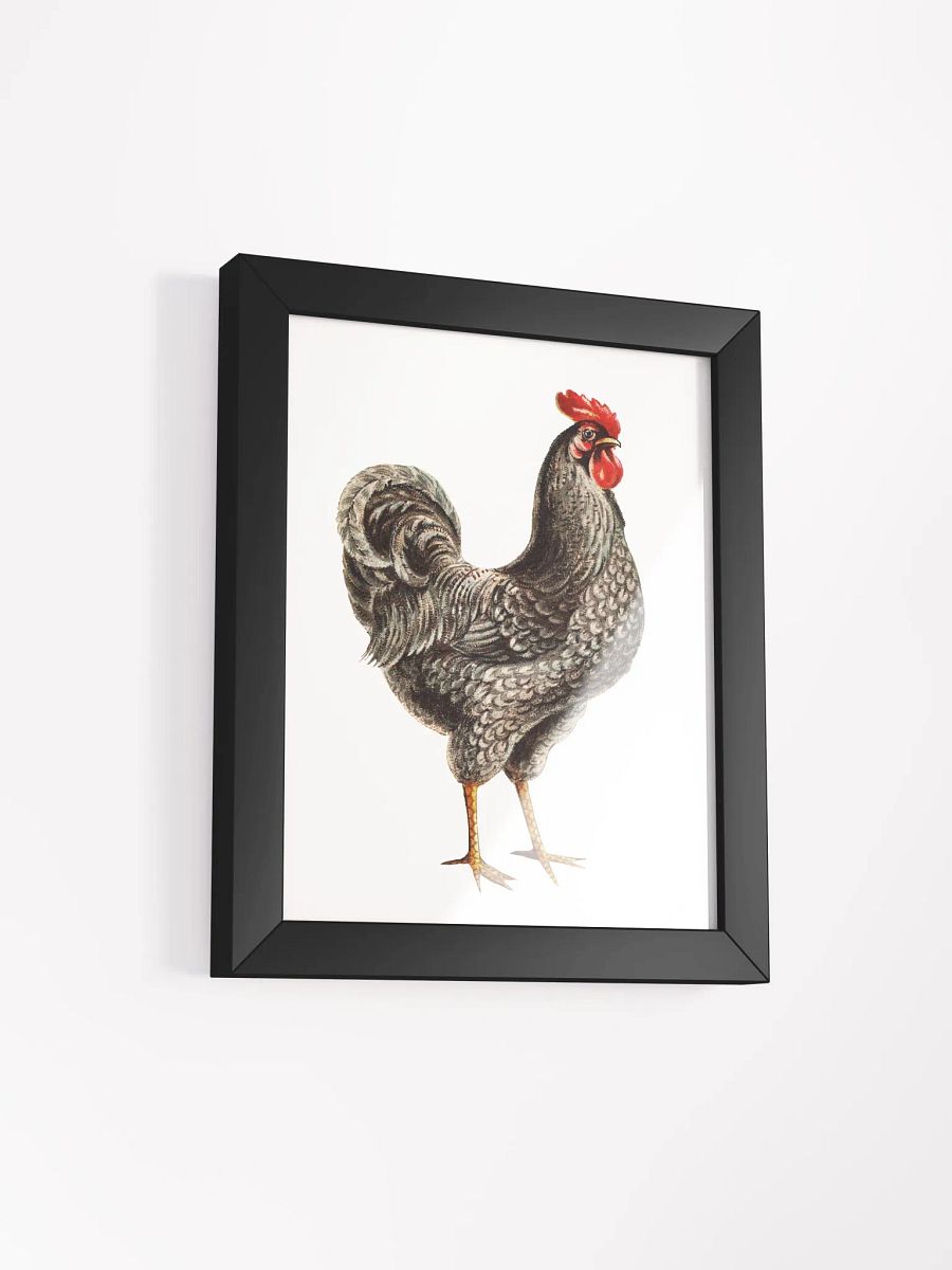 'Elegant Rooster' Framed Matte Poster product image (2)