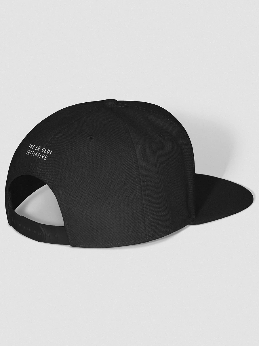 The En Gedi Initiative Logo Snapback Hat product image (3)