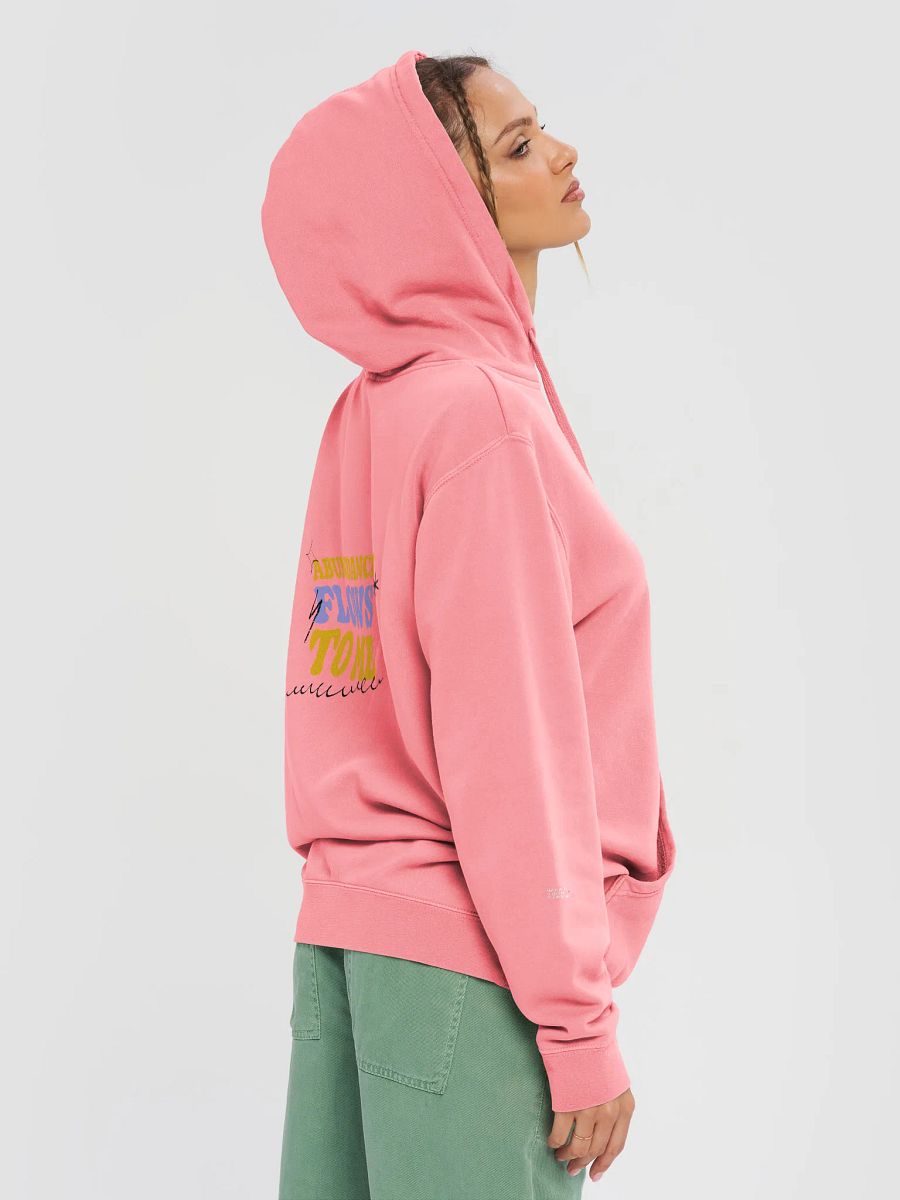 WYS Abundance Flows Vintage Hoodie product image (1)