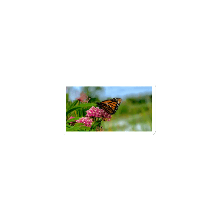Nature Monarch Butterfly Die-Cut Magnet product image (1)