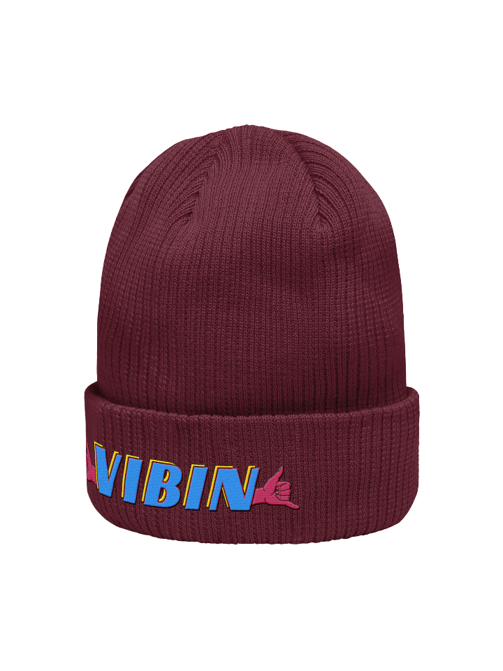 Vibin Beanie product image (10)