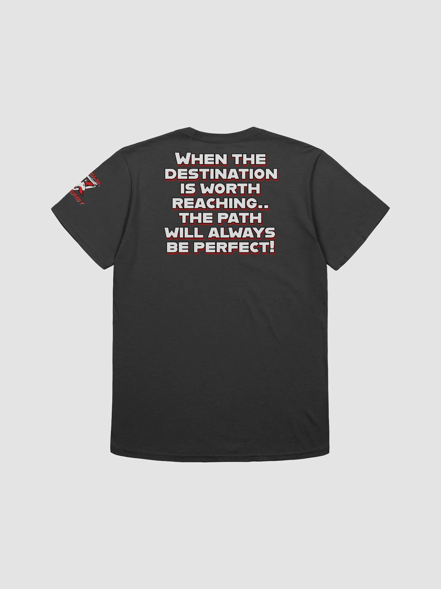 AlphaXSynergy Gildan Unisex Softstyle T-Shirt - Front Middle Logo - Left Sleeve Logo & Back Quote product image (2)