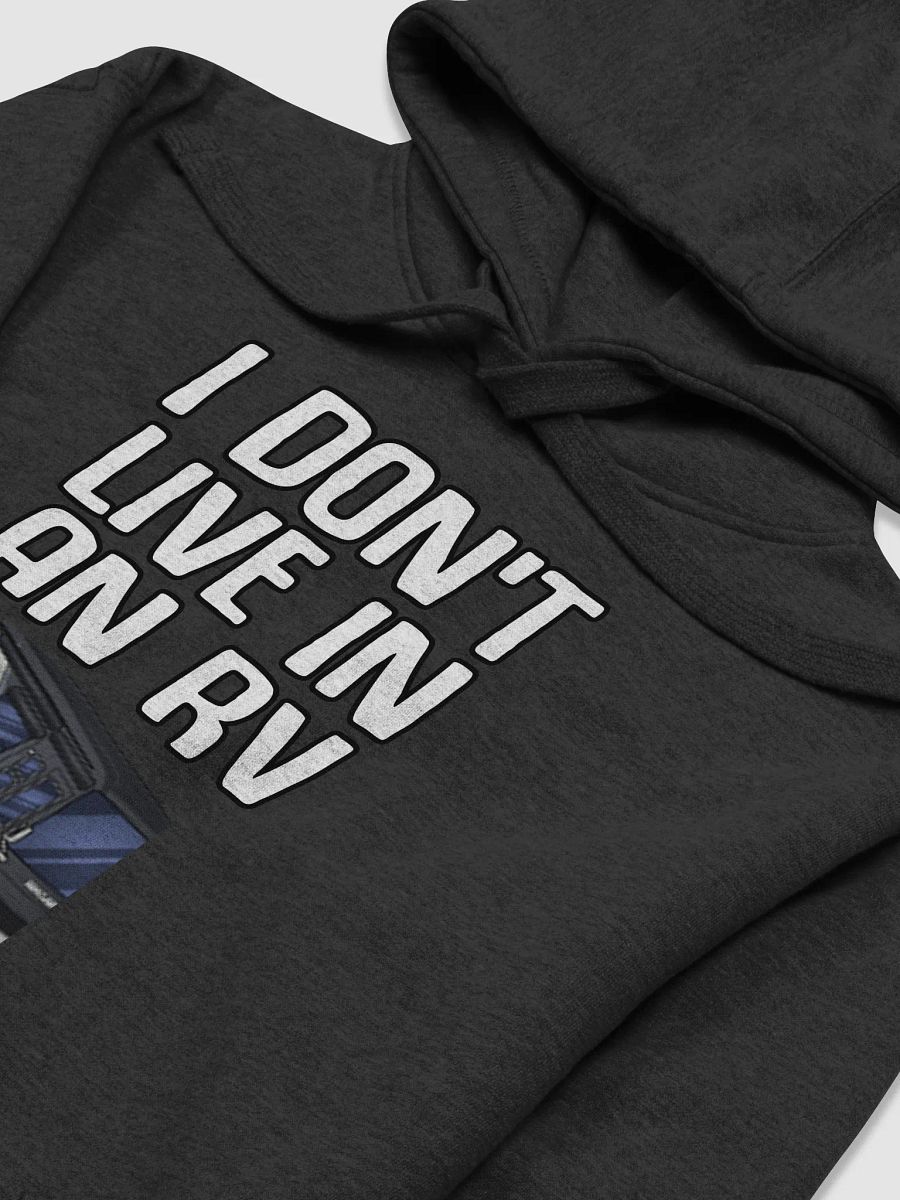 RV Hoodie product image (32)